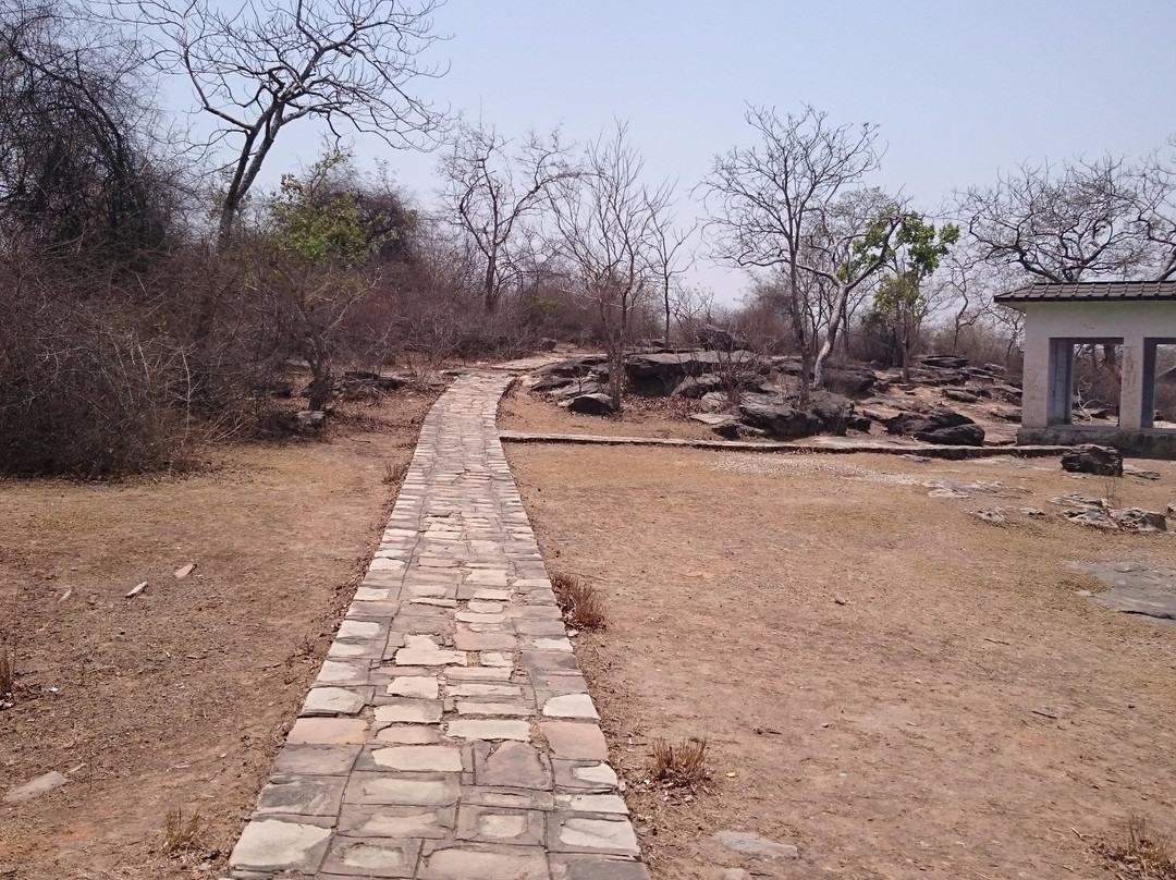Chandra Prabha Wildlife Sanctuary景点图片