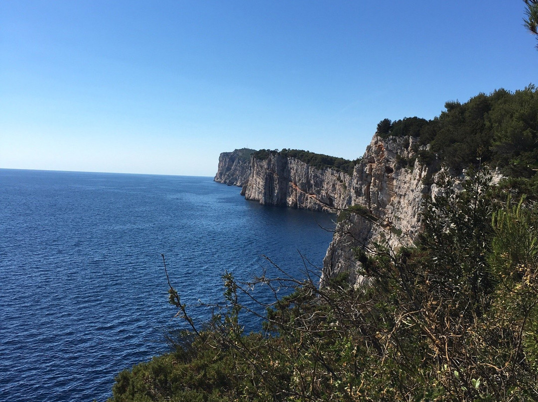 桑德拉旅馆