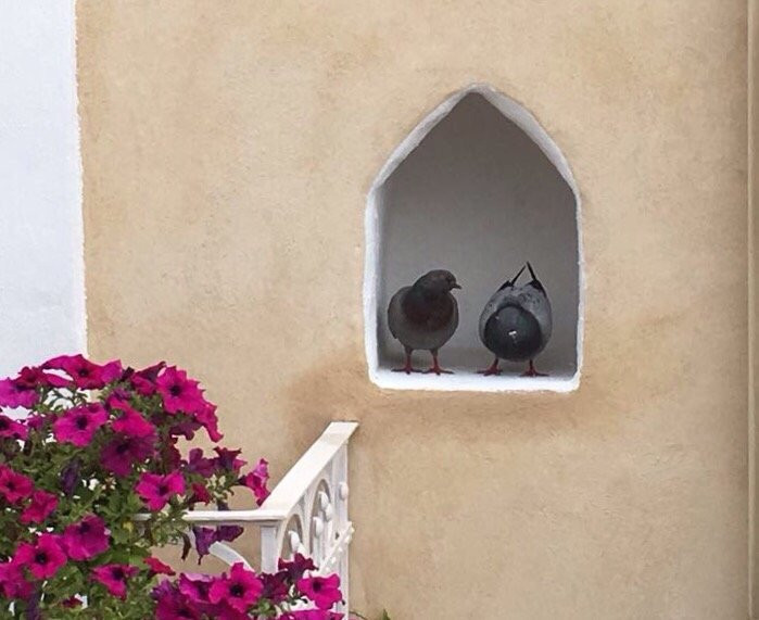 San Ferdinando di Puglia酒店住宿-Casa 28