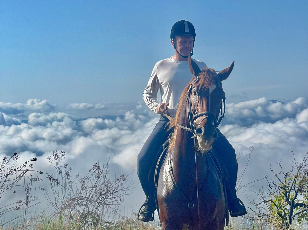 Club Hipico Tarapoto-Cacatachi必去景点