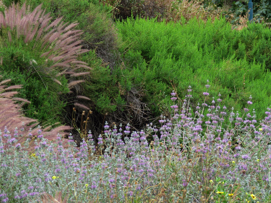 Stough Canyon Nature Center-伯班克必去景点