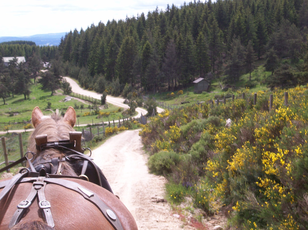 Sainte-Eulalie旅游攻略图片