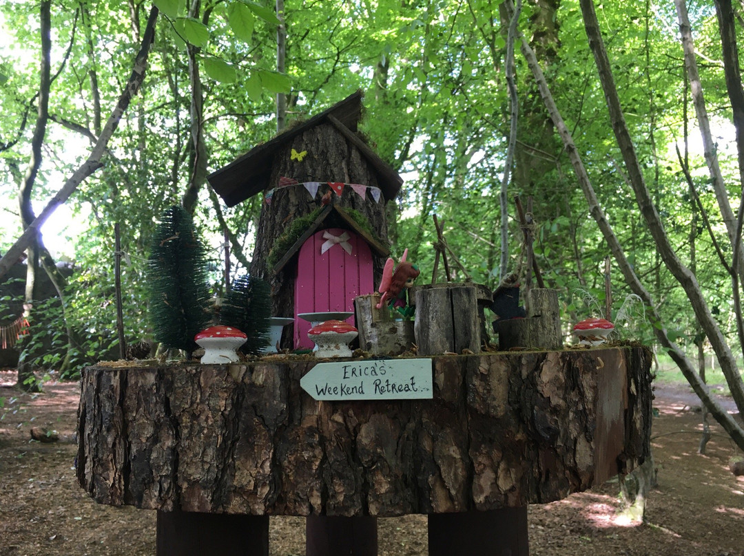Erica's Fairy Forest-Cootehill必去景点