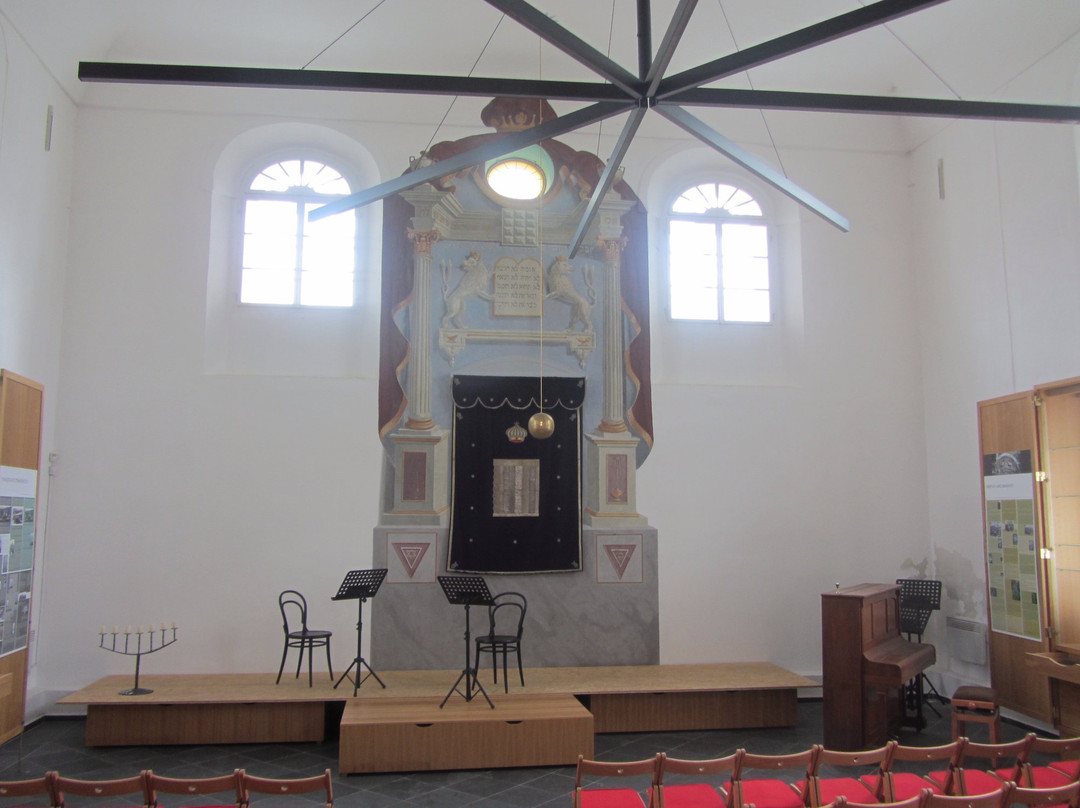 Synagogue Ckyne景点图片
