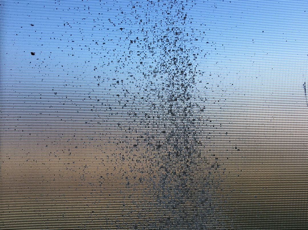 Cosmopolis酒店住宿-Econo Lodge Inn & Suites