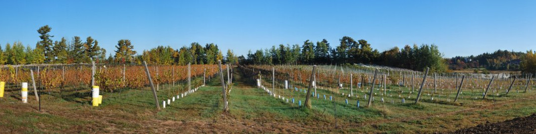 Domaine Latitude 46 Estate Winery景点图片