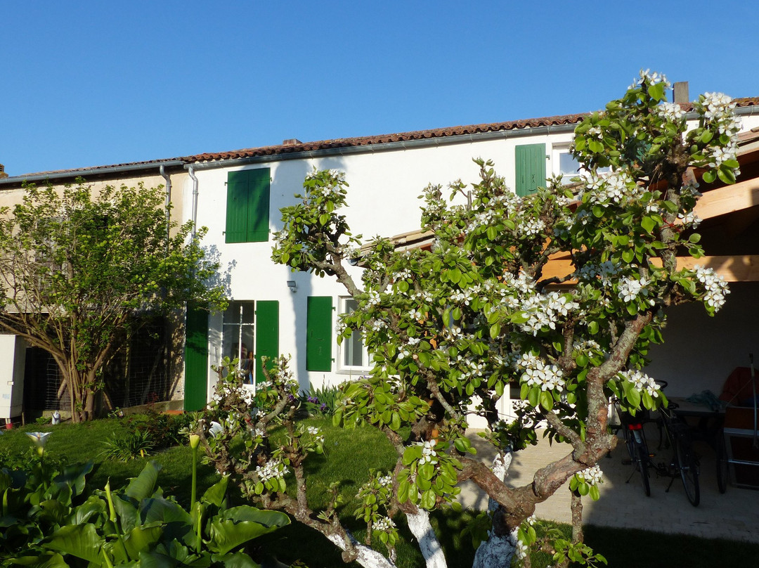 Le Havre du Capitaine主图