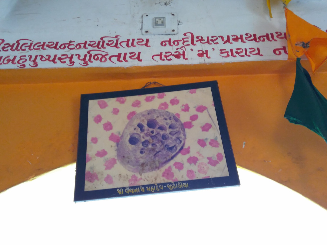 Jitodia Vaijnath Mahadev Temple景点图片