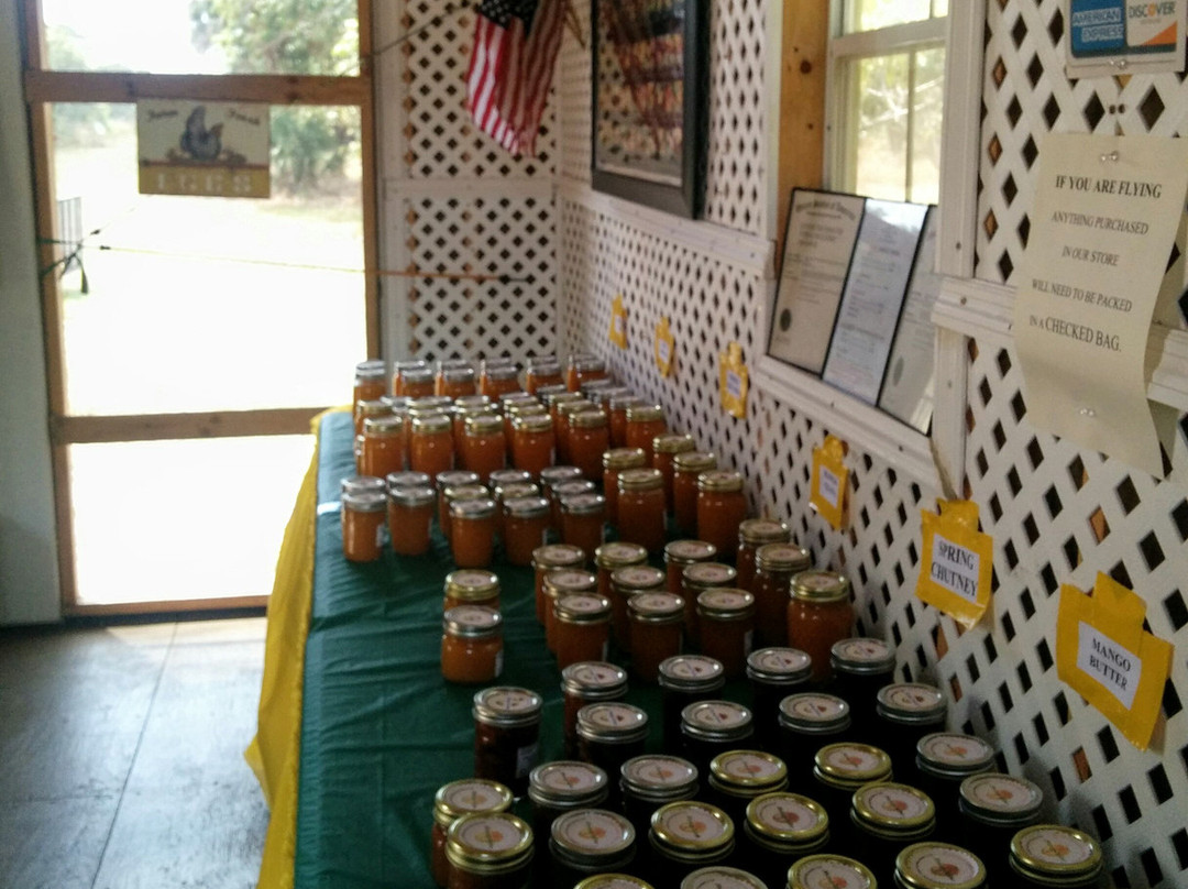 Promised Land Mangoes-Bokeelia必去景点