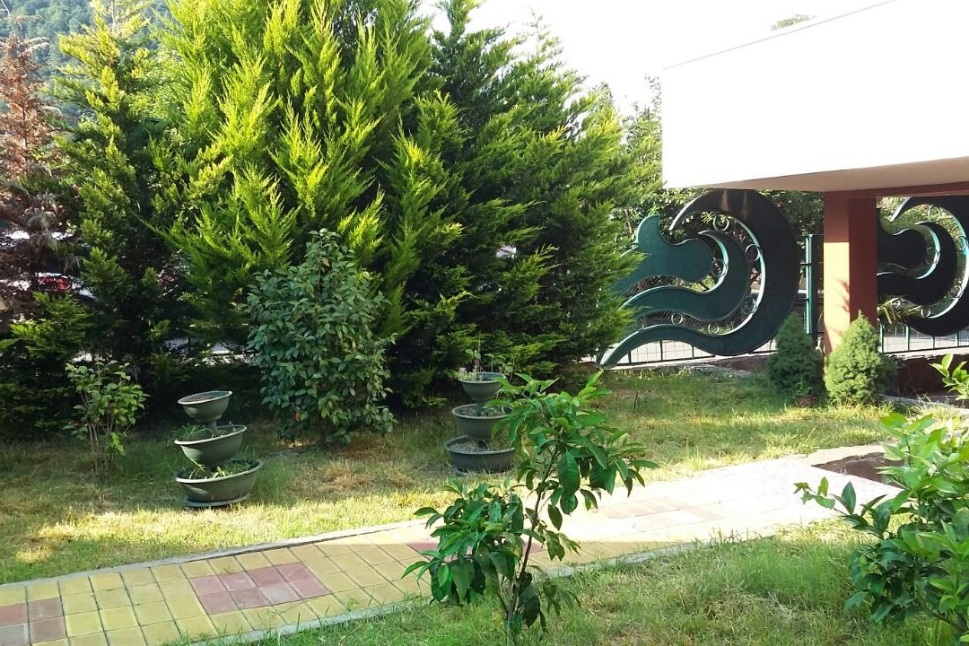 Guest House Albatros