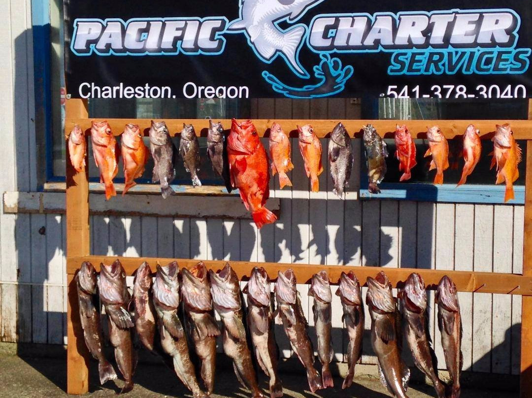 Pacific Charter Services-Charleston必去景点