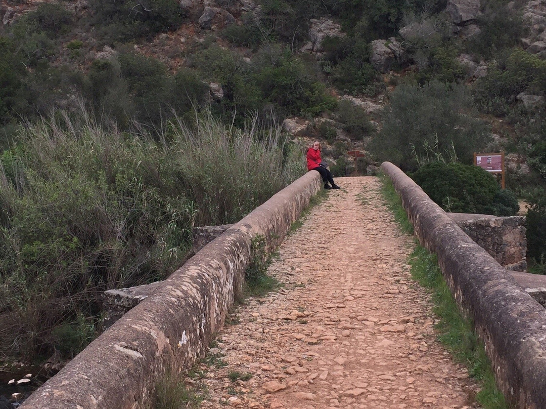 Ponte Medieval de Paderne景点图片