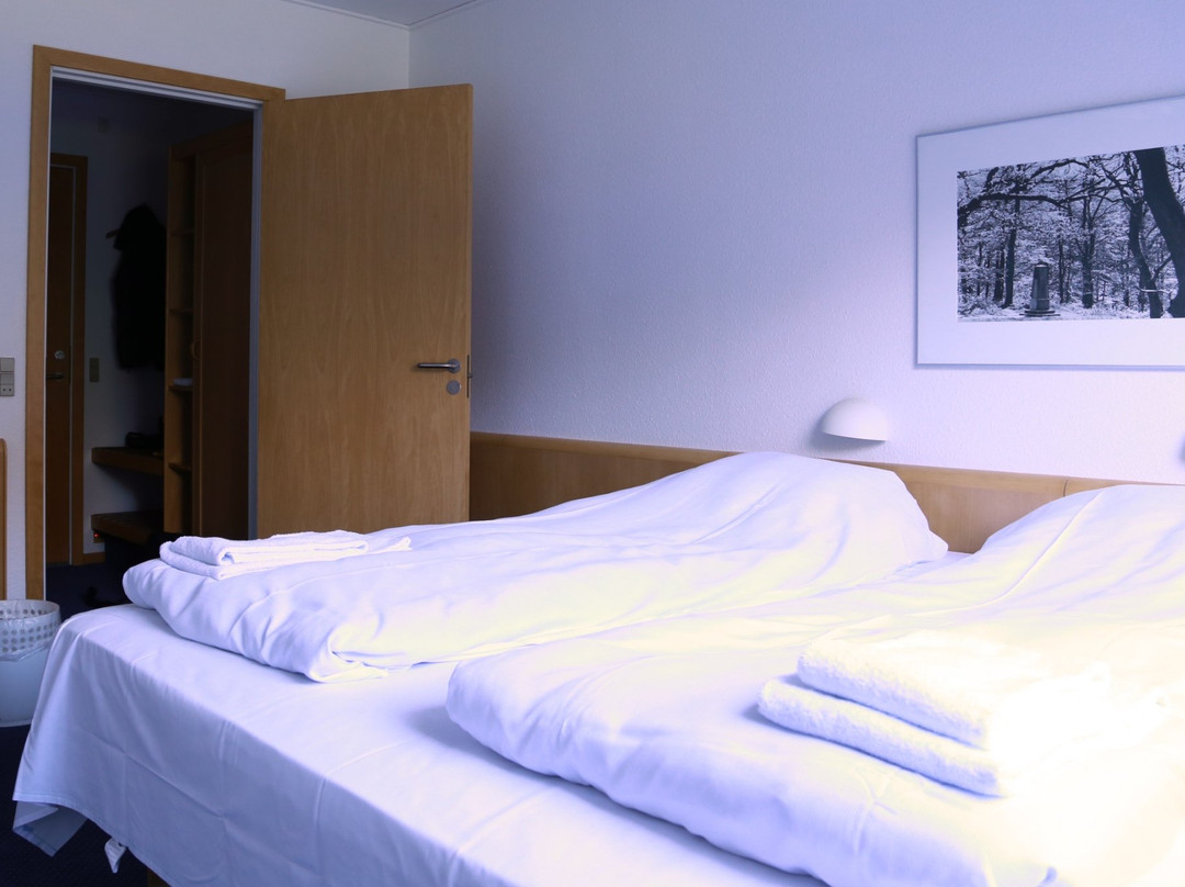 Hotel Skibelund Krat主图