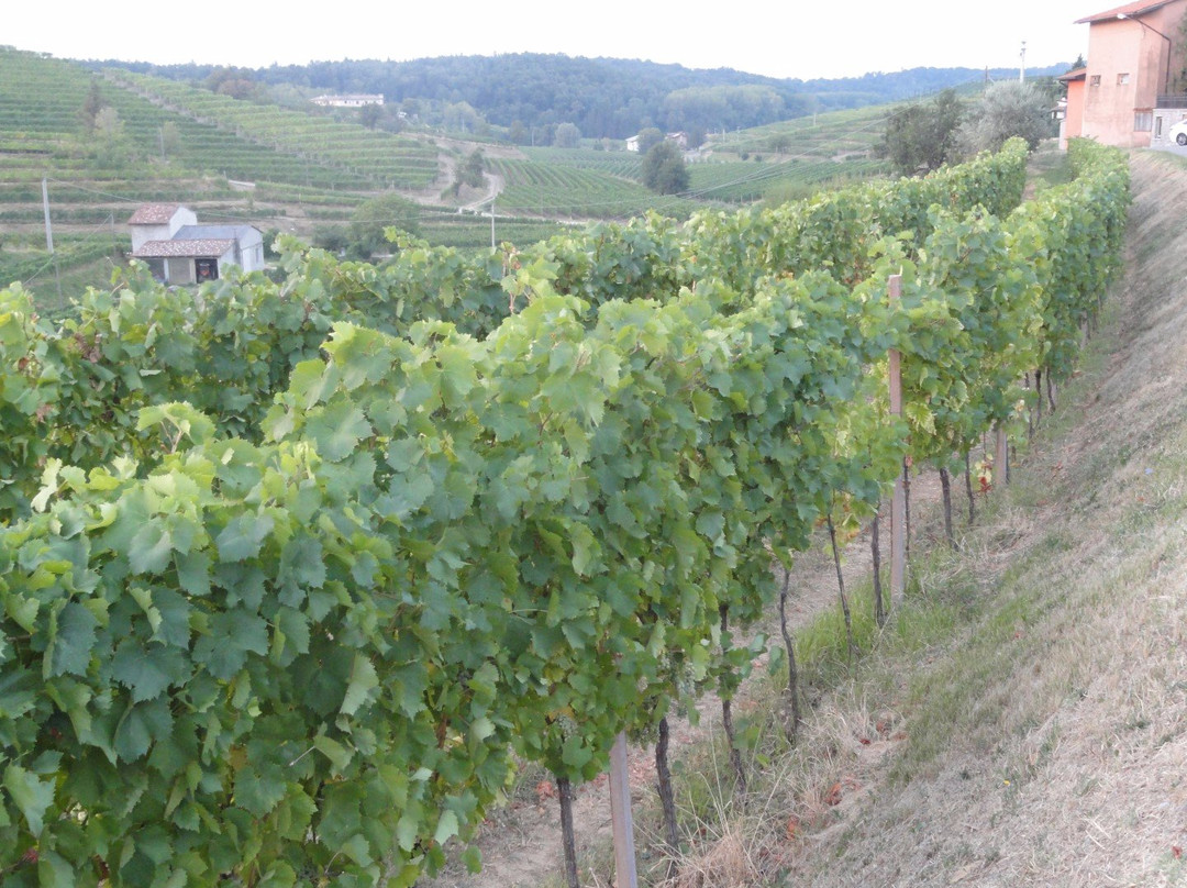 Cantina Gildo-Cividale del Friuli必去景点