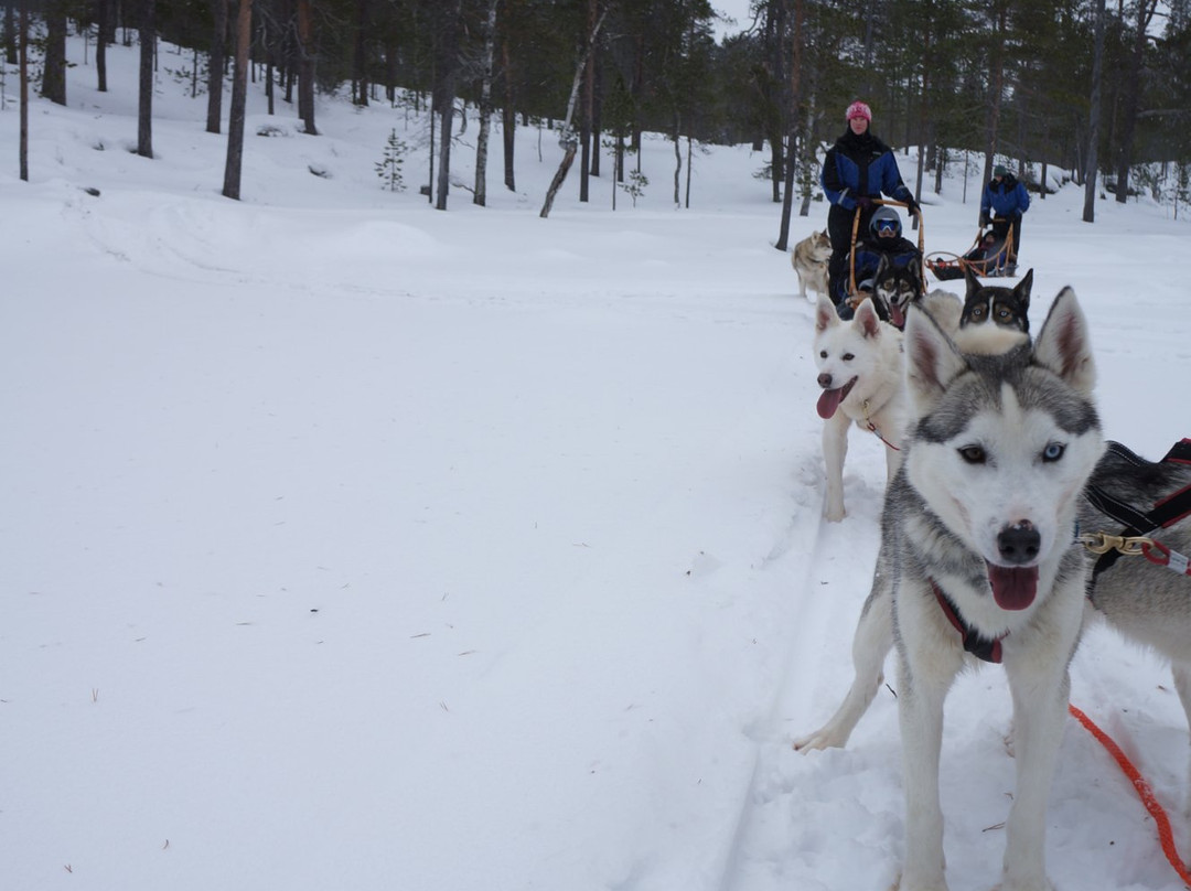 Kamisak Husky and Horse Expeditions - Day Tours-伊瓦洛必去景点