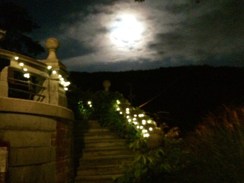 The Harry Packer Mansion- Libations Lounge-吉姆索普必去景点