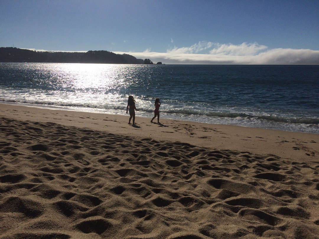 Playa de Pingueral-Dichato必去景点