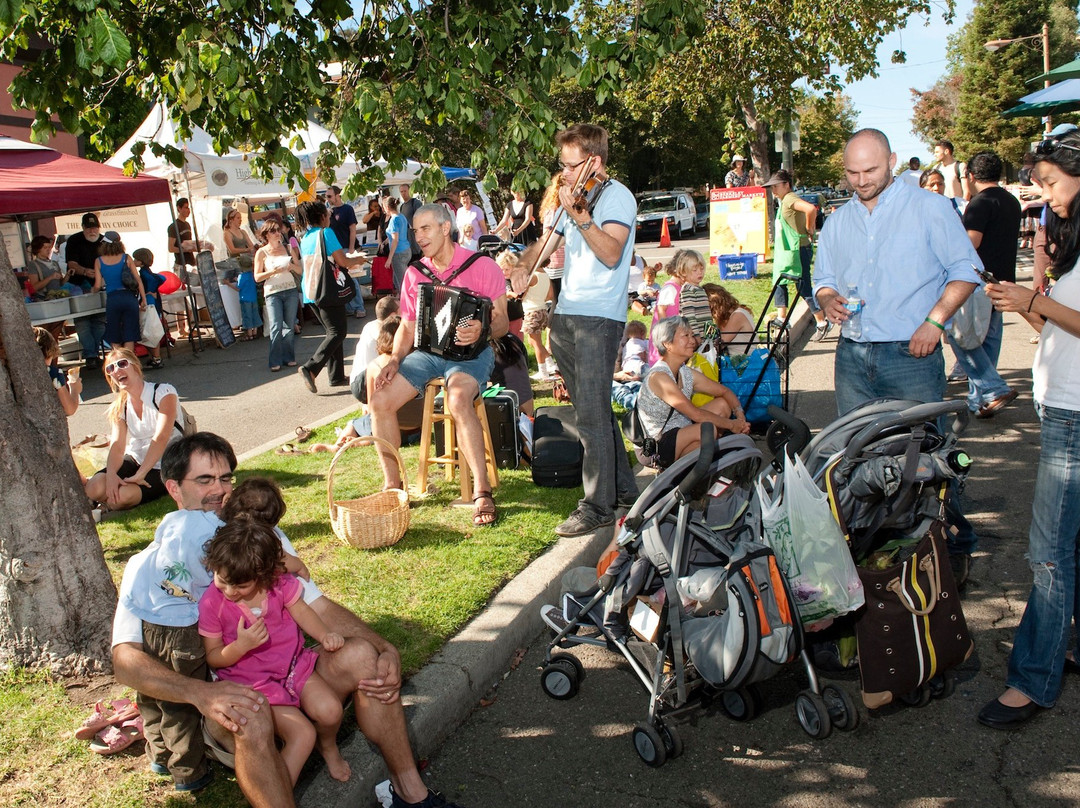 Berkeley Visitor Information Center-伯克利必去景点