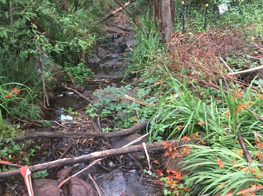 Stanley Park-马其顿山必去景点