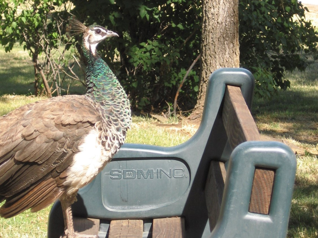 Maryhill State Park-Goldendale必去景点