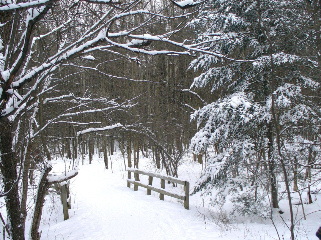 Parc du Bois-Beckett-舍布鲁克必去景点