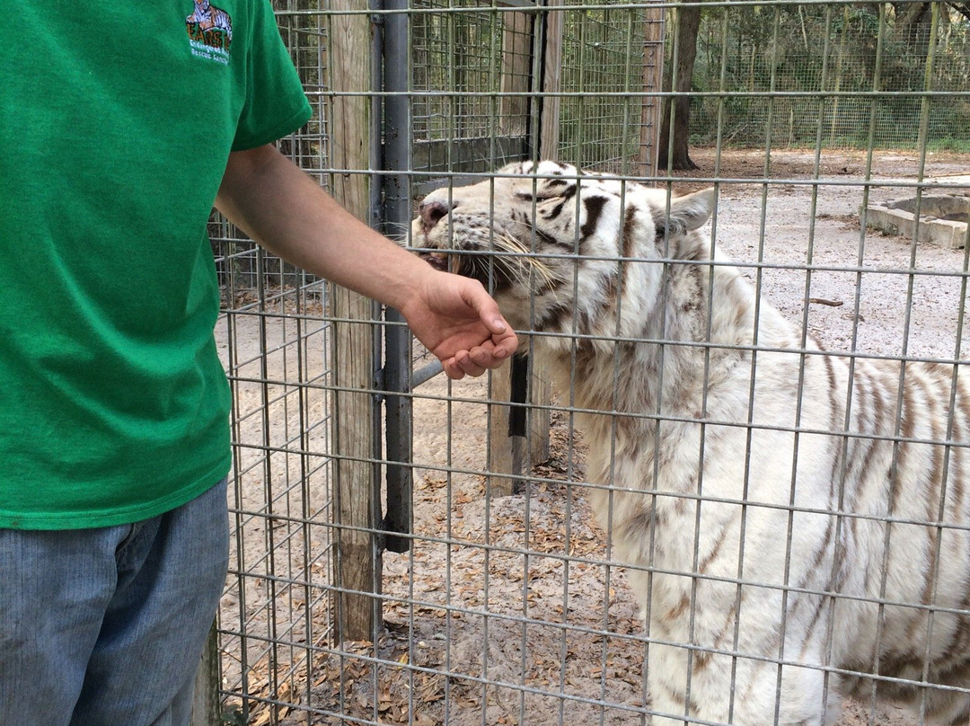 Endangered Animal Rescue Sanctuary-Citra必去景点