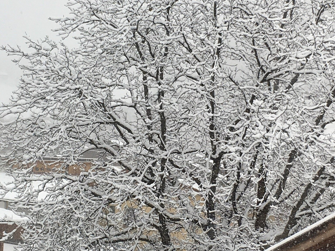 Landgasthof Jagerwirt主图