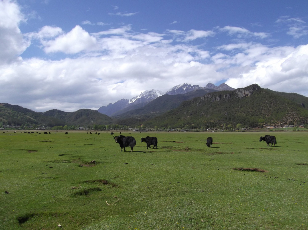 文海-丽江市必去景点