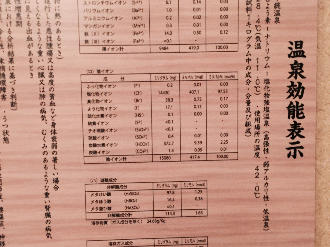 Manai no Yu Chiba New Town-印西市必去景点