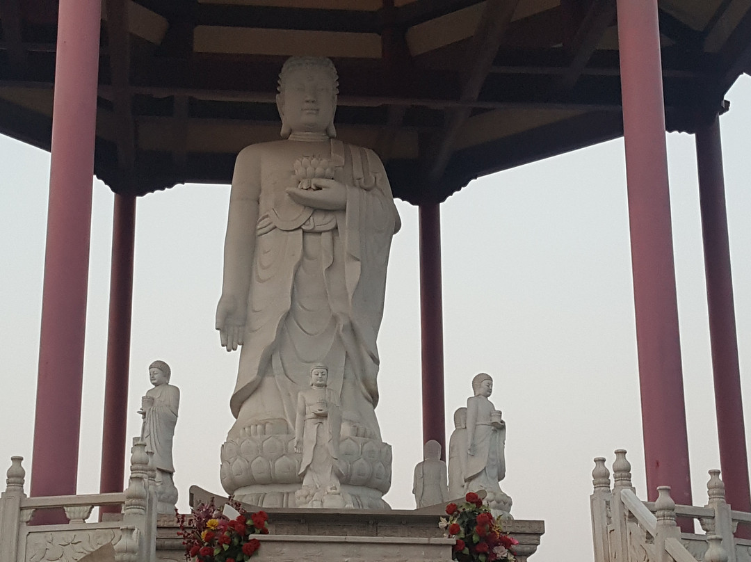 海岛金山寺-庆云县必去景点