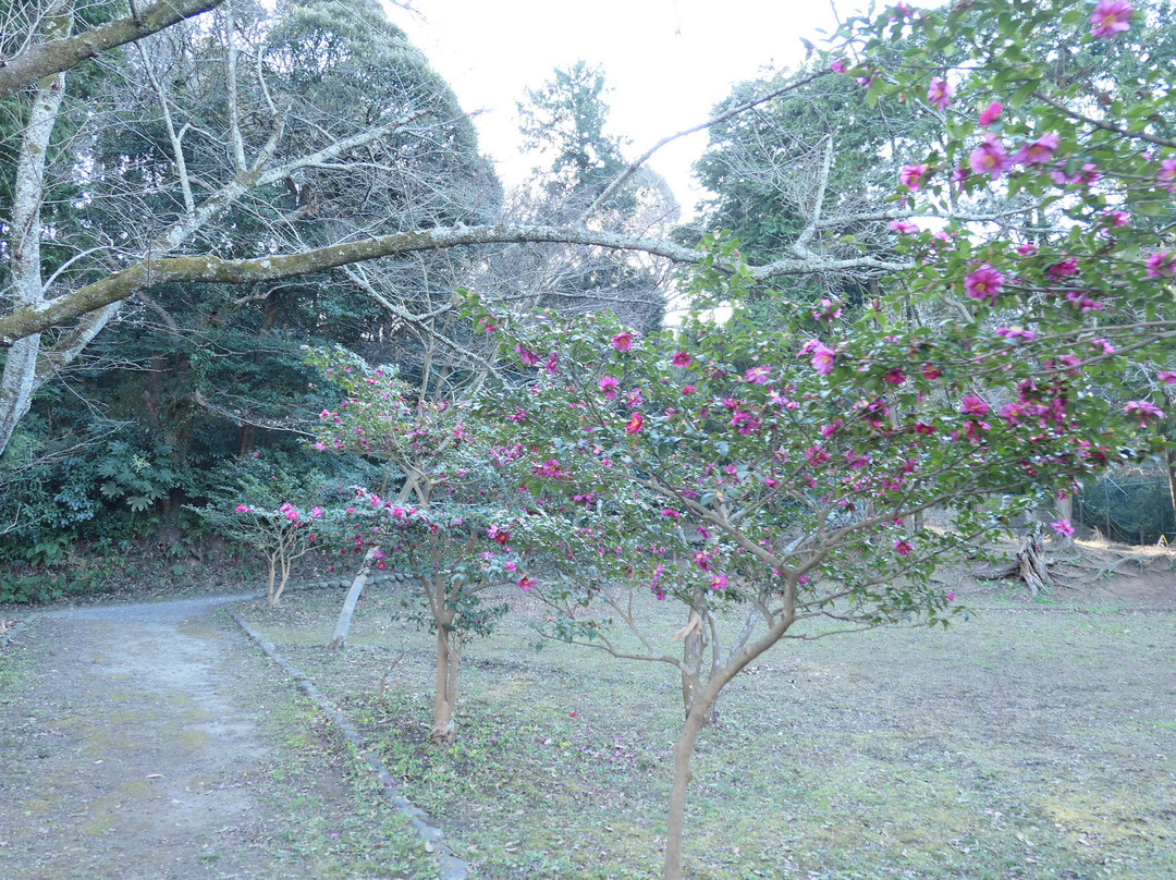 Genjiyama Park景点图片