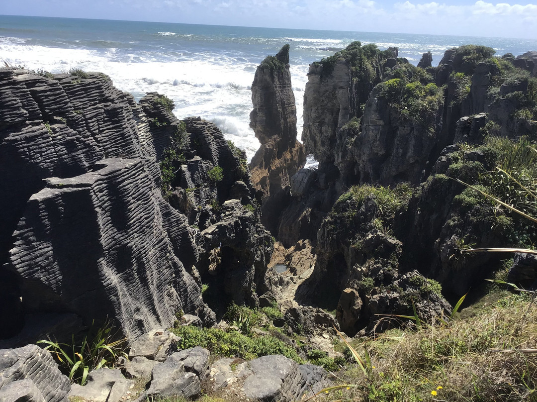 Waipu Pancakes Rocks景点图片