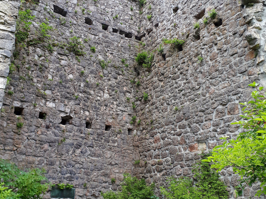Burg Vilsegg景点图片