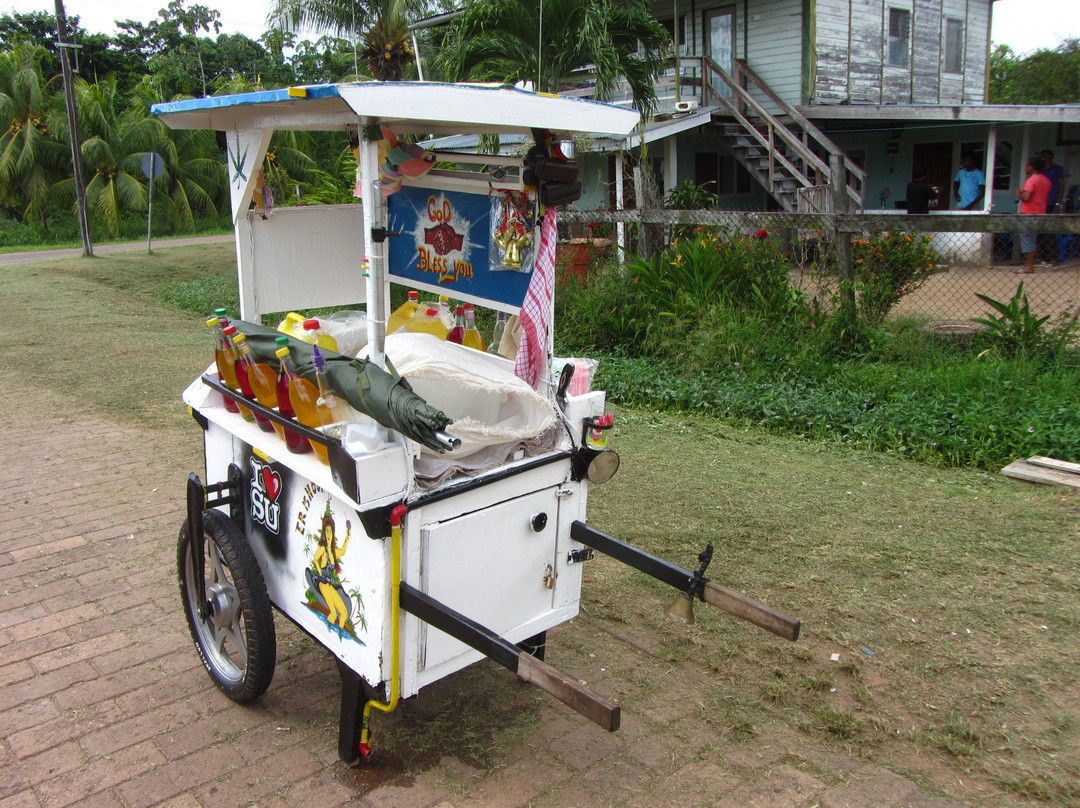 All Suriname Tours-帕拉马里博必去景点