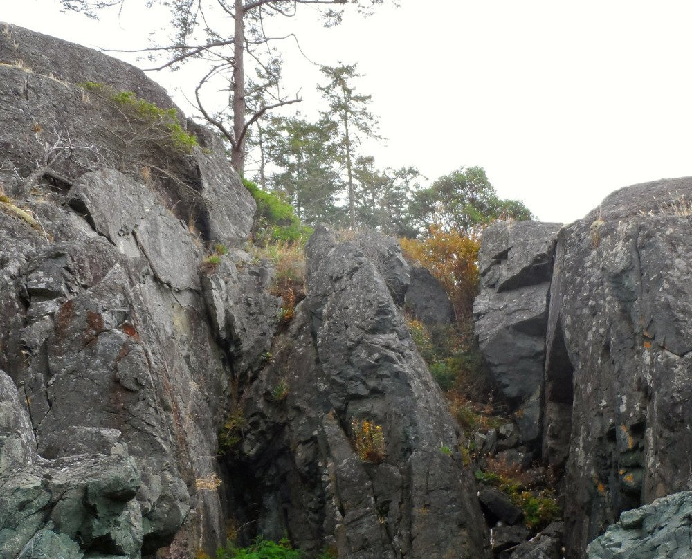 Anderson Bay Provincial Park景点图片