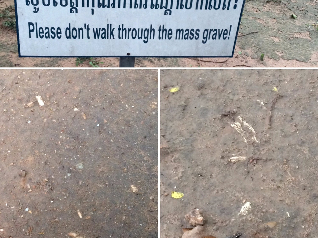 Phnom Penh Hop on Hop off-金边必去景点