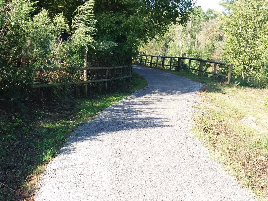Ciclopista dell 'Arno-蒙泰卢波菲奥伦蒂诺必去景点