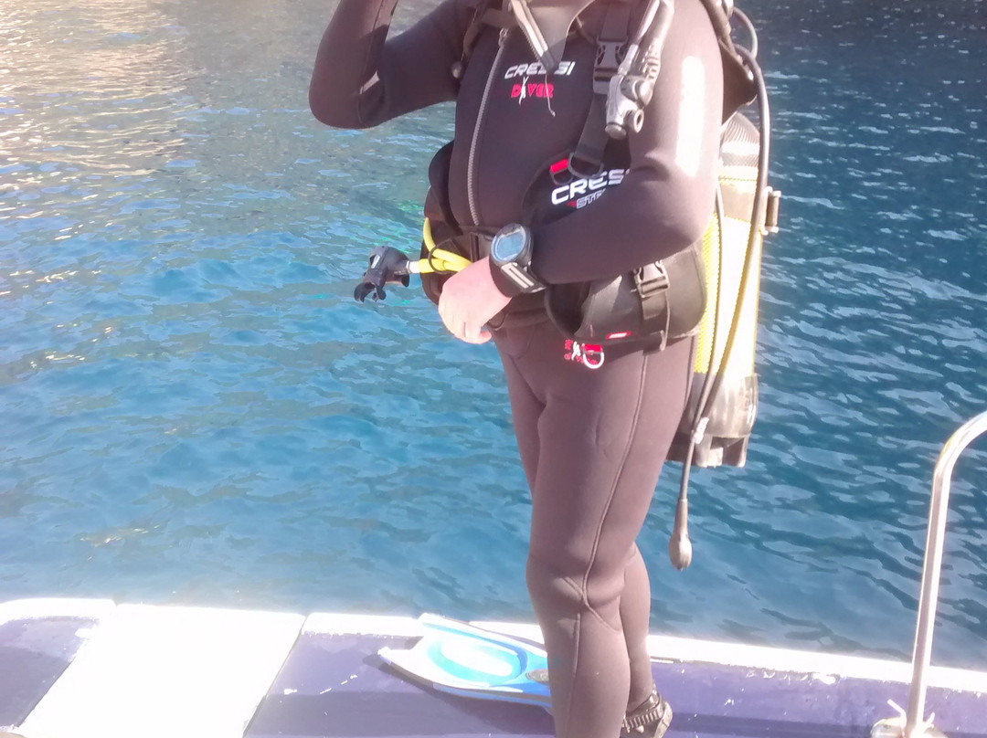 Tortuga Diving Portofino-拉帕洛必去景点