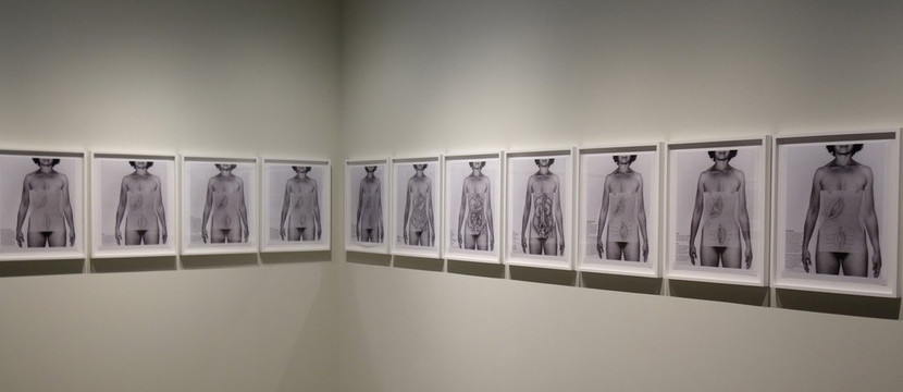 Pier 24 Photography Museum-旧金山必去景点