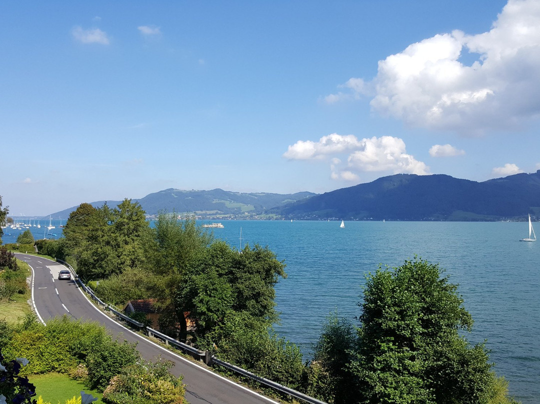 Nussdorf am Attersee酒店住宿-Seepension Neubacher KG