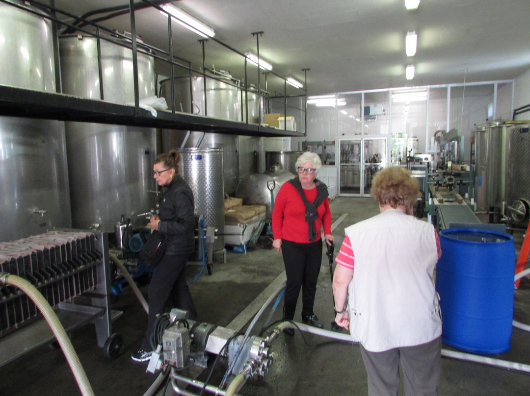 Rodrigues Winery景点图片