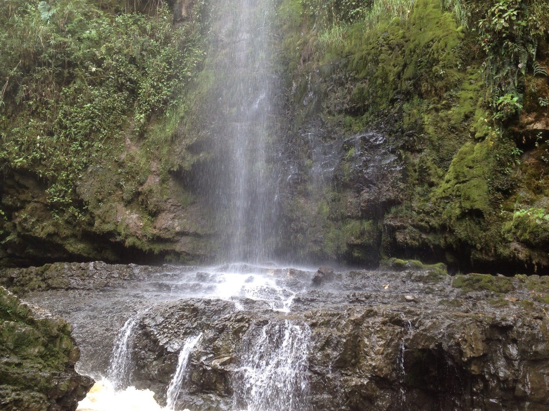 Huila Department旅游攻略图片