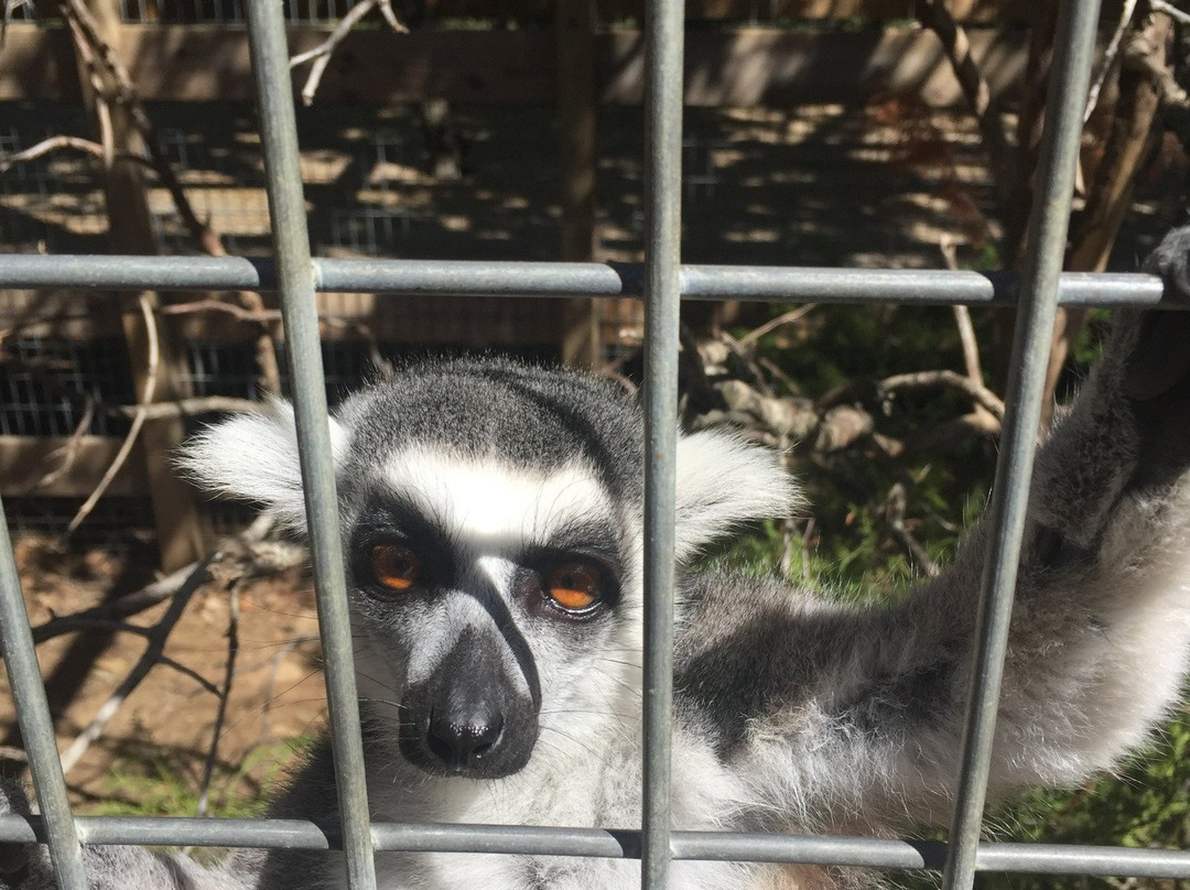 Coble Highland Ranch and Zoo-Henryetta必去景点
