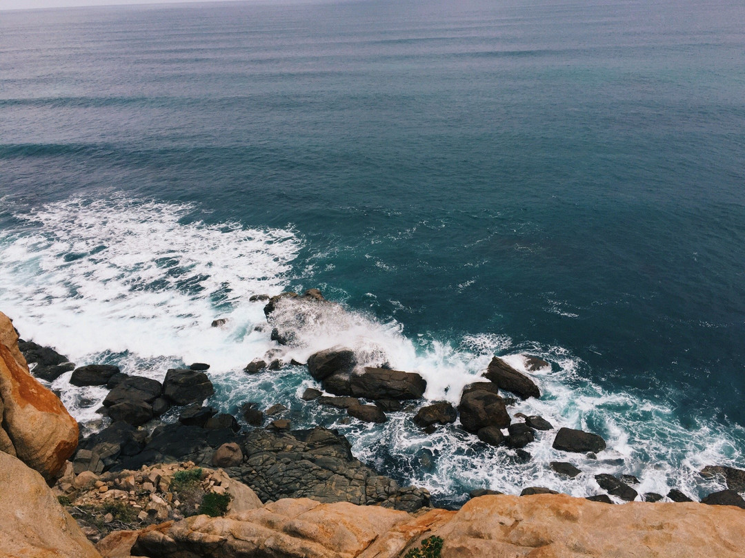 Margaret River Nature Tours-玛格丽特河必去景点