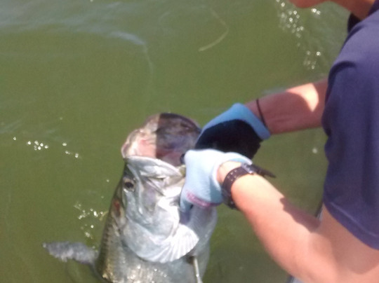 Affordable Florida Fishing-Yankeetown必去景点