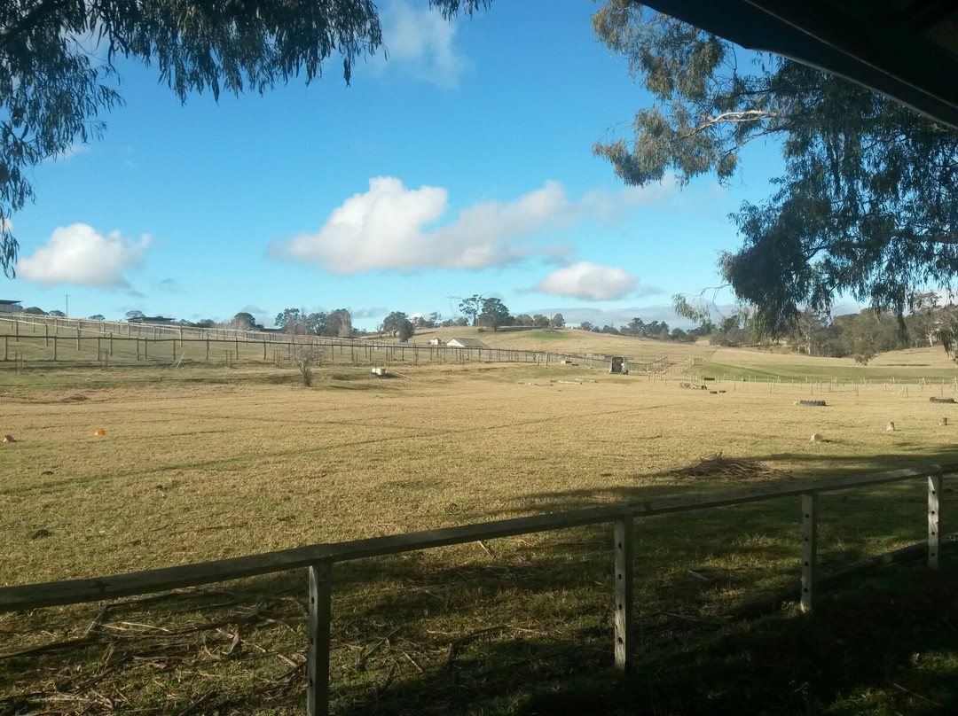 Mowbray Park Holidays-Picton必去景点