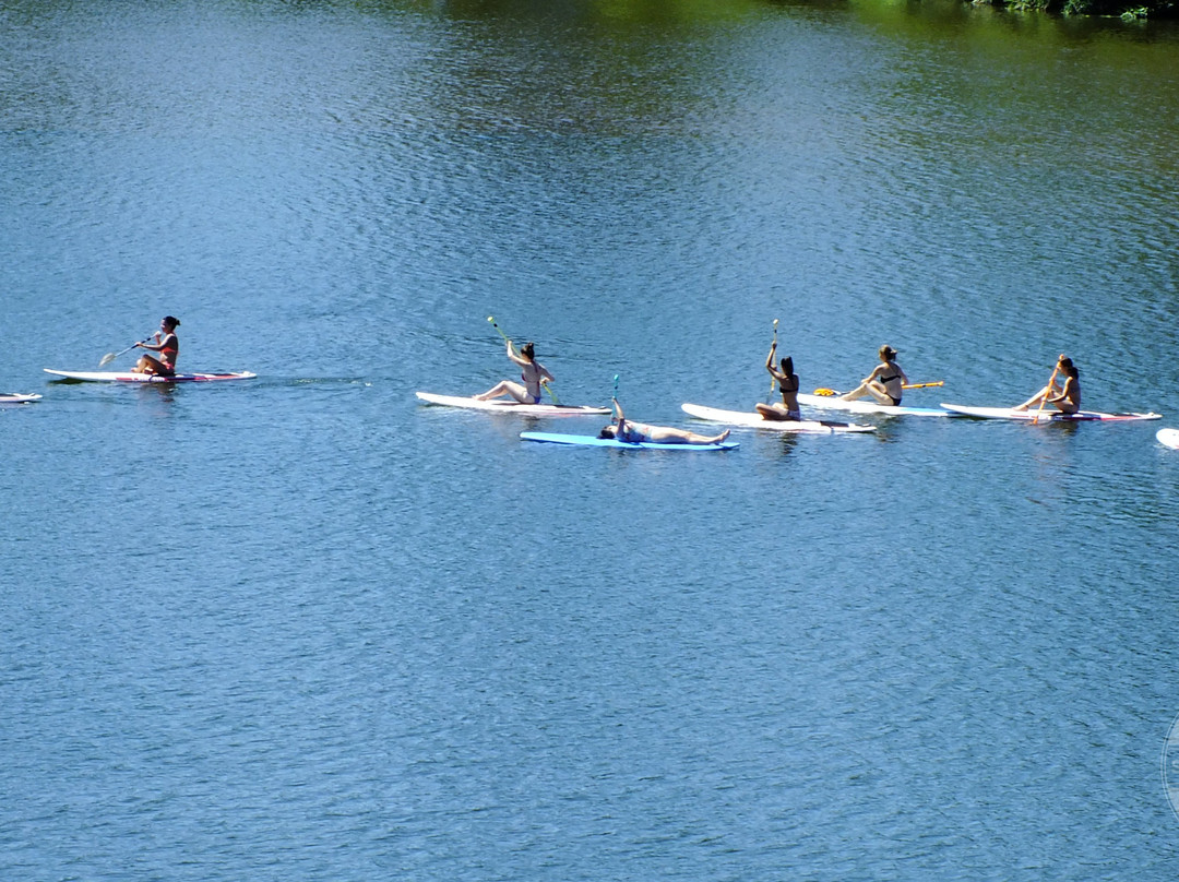 Coimbra Stand Up Paddle景点图片