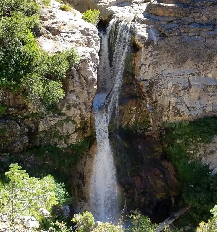 Mill Creek Falls景点图片