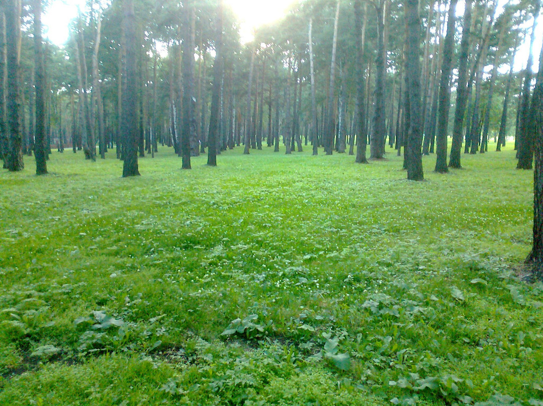 Zenkovskiy Park-Prokopyevsk必去景点