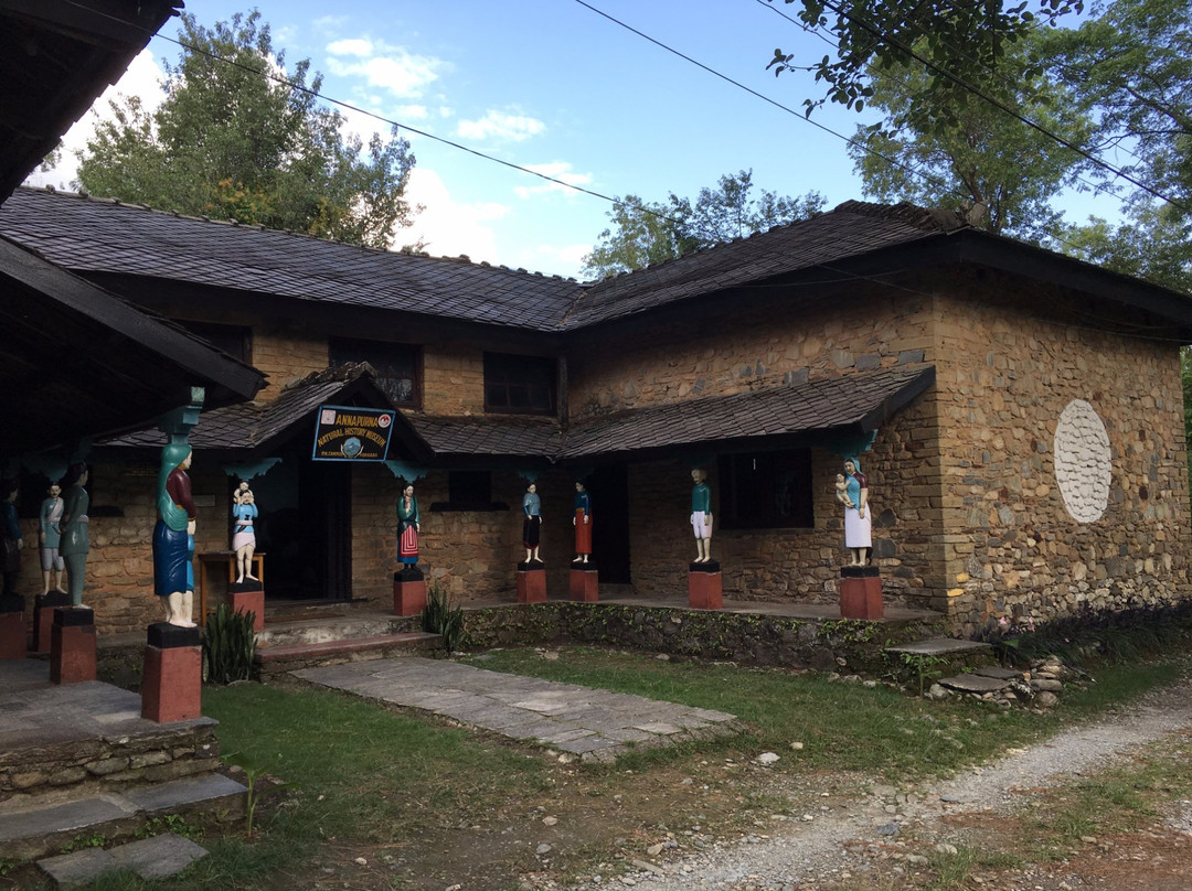 Annapurna Butterfly Museum-博卡拉必去景点